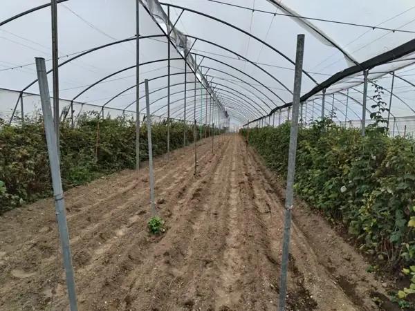 Terreno en venta en San Jeronimo Tianguismanalco, San Martín Texmelucan, Puebla
