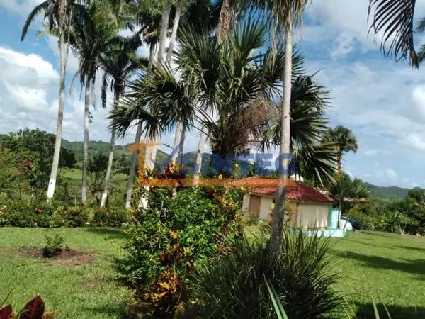 Finca-Rancho en venta en La Grandeza, Papantla, Veracruz de Ignacio de la Llave