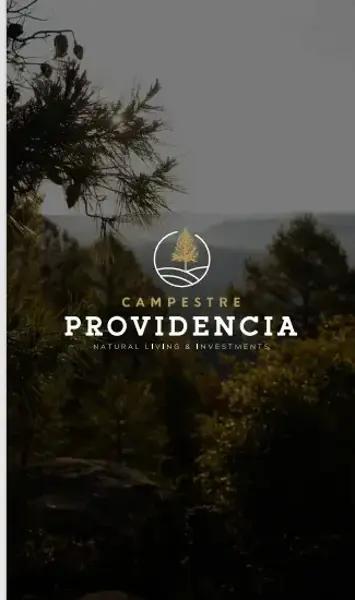 Cabaña En  Venta  en Providencia Durango