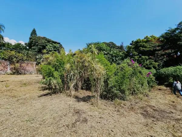 Terreno en venta en Chapultepec, Cuernavaca, Morelos Terreno en venta en Chapultepec, Cuernavaca, Morelos