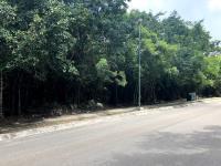 Terreno en venta en Los Arrecifes, Solidaridad, Quintana Roo