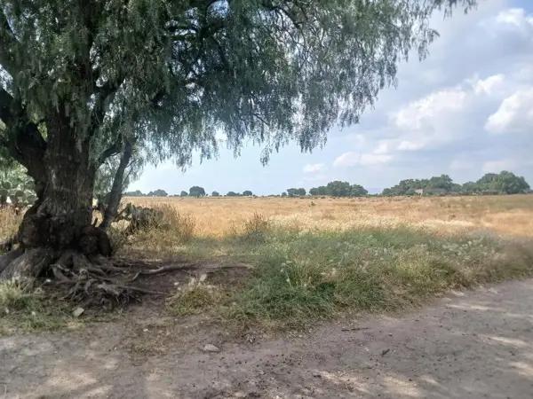 Terreno en venta en San Miguel, Zumpango, México