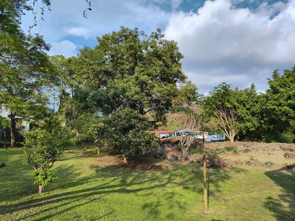 Finca-Rancho en venta en Nepantla de Sor Juana Inés de la Cruz, Tepetlixpa, México