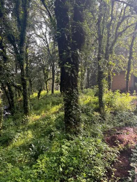 Terreno en venta en Huertas de San Pedro, Huitzilac, Morelos