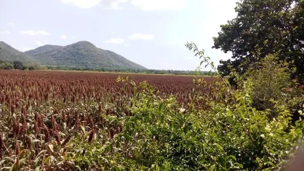 Terreno en venta en Tlayecac, Ayala, Morelos