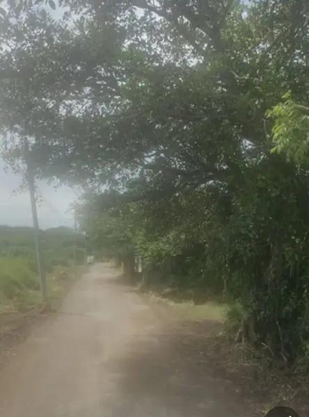 Terreno en venta en Paso Colorado, Boca del Río, Veracruz de Ignacio de la Llave Terreno en venta en Paso Colorado, Boca del Río, Veracruz de Ignacio de la Llave