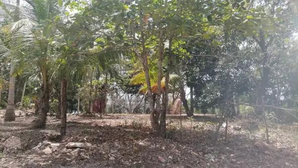 Terreno en venta en Aarón Merino, Bacalar, Quintana Roo
