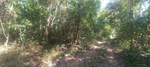 Terreno en venta en Buenavista, Bacalar, Quintana Roo