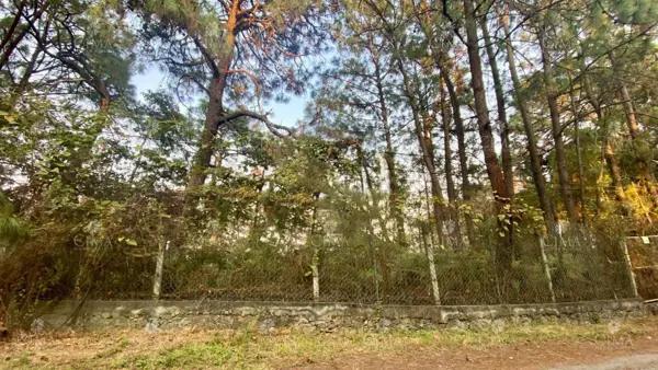 Venta terreno en  Fraccionamiento Del Bosque, Cuernavaca - T65
