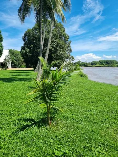 Terreno en venta en Playa de Vacas, Medellín de Bravo, Veracruz de Ignacio de la Llave Terreno en venta en Playa de Vacas, Medellín de Bravo, Veracruz de Ignacio de la Llave