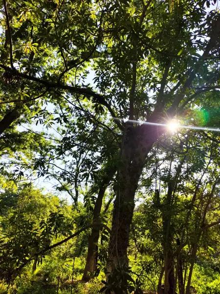 Terreno en venta en De La Loma, Parras, Coahuila de Zaragoza