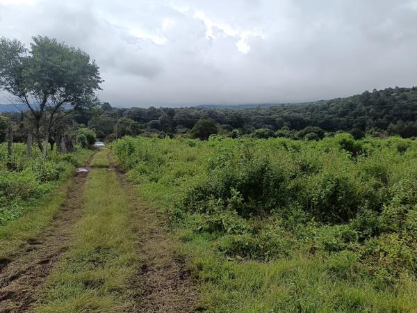 Terreno en venta en San Sebastián, Malinalco, México