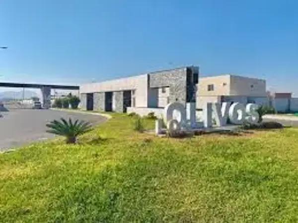 Casa en venta en Los Olivos, Gómez Palacio, Durango Casa en venta en Los Olivos, Gómez Palacio, Durango