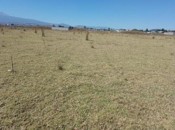 Terreno en venta en San Miguel Totocuitlapilco, Metepec, México Terreno en venta en San Miguel Totocuitlapilco, Metepec, México