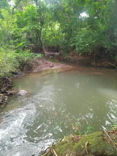 Terreno en venta en Barra de Cahoacán (El Chical), Suchiate, Chiapas
