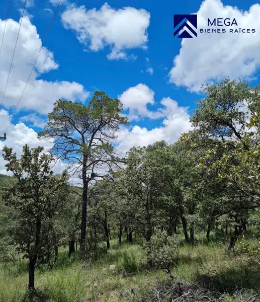 Terreno en venta en Bosques de Montesión, Durango, Durango