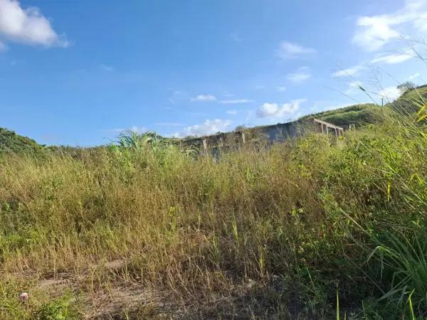 Terreno en venta en Alvarado Centro, Alvarado, Veracruz de Ignacio de la Llave