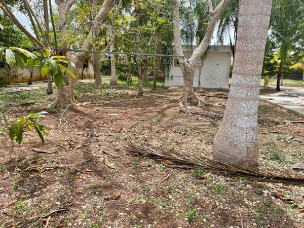 Finca-Rancho en venta en Leona Vicario, Puerto Morelos, Quintana Roo