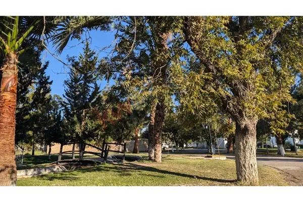 Terreno en venta en San Armando, Torreón, Coahuila de Zaragoza