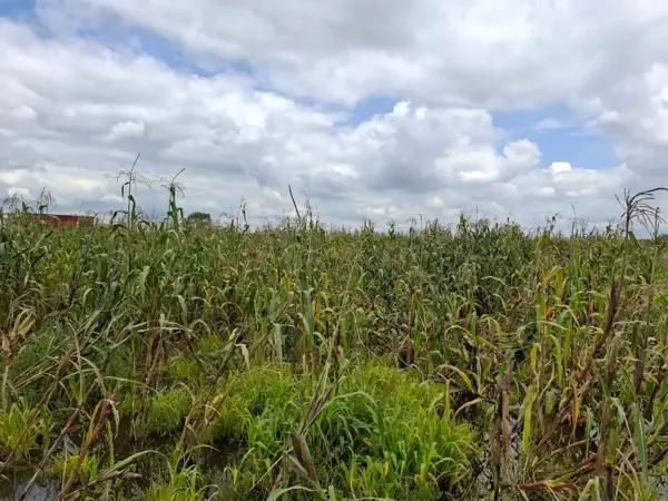 Terreno en venta en San Antonio Cacalotepec, San Andrés Cholula, Puebla