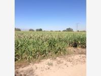 Terreno en venta en Alvaro Obregon, Lerdo, Durango Terreno en venta en Alvaro Obregon, Lerdo, Durango