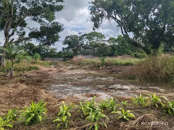 Terreno en venta en Agrícola (Primera Manzana del Barreal), Córdoba, Veracruz de Ignacio de la Llave