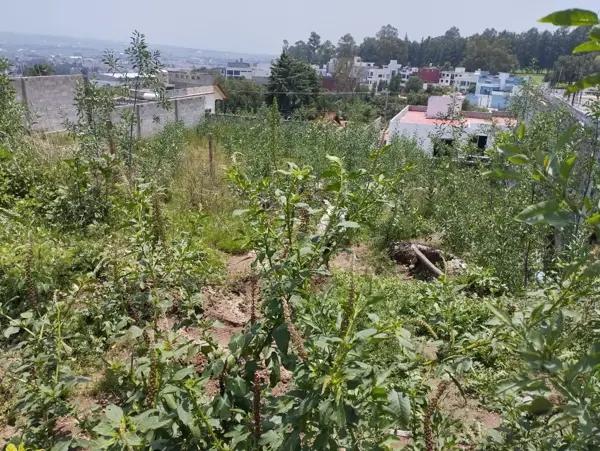 Terreno en venta en Acozac, Ixtapaluca, México
