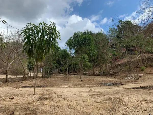 Terreno en venta en El Colorado, San Pedro Pochutla, Oaxaca