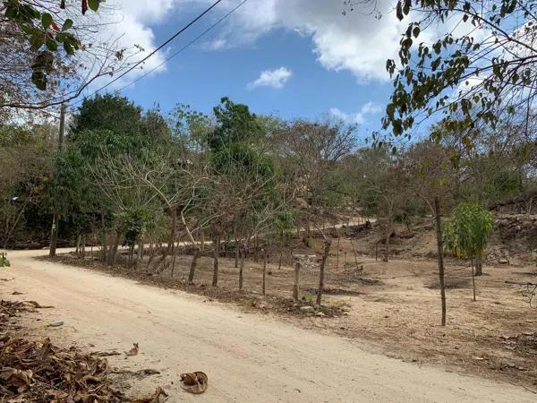 Terreno en venta en El Vigía, San Pedro Pochutla, Oaxaca