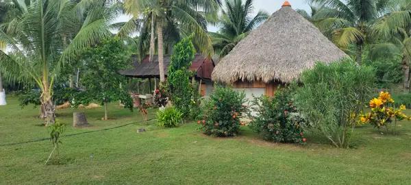 Finca-Rancho en venta en Mazunte, Santa María Tonameca, Oaxaca