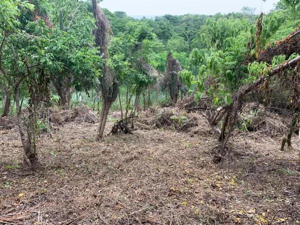 Terreno en venta en Mazunte, Santa María Tonameca, Oaxaca