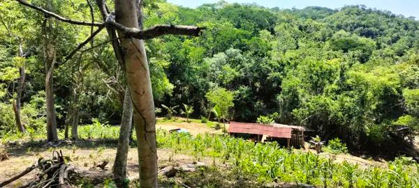 Terreno en venta en Mazunte, Santa María Tonameca, Oaxaca