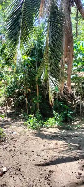 Terreno en venta en Mazunte, Santa María Tonameca, Oaxaca