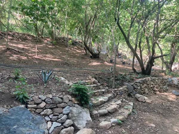 Terreno en venta en Mazunte, Santa María Tonameca, Oaxaca