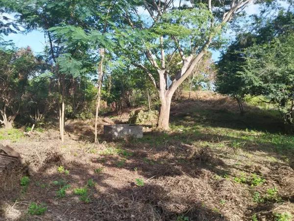 Terreno en venta en Techal Blanco, Santa María Huatulco, Oaxaca