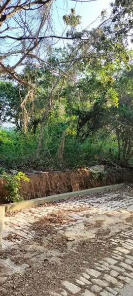 Terreno en venta en Mazunte, Santa María Tonameca, Oaxaca