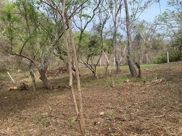 Terreno en venta en Mazunte, Santa María Tonameca, Oaxaca