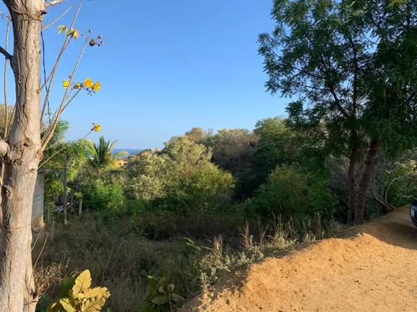 Terreno en venta en Playa Estacahuite, San Pedro Pochutla, Oaxaca