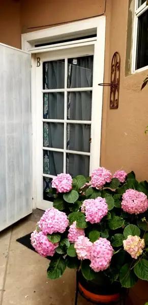 Departamento en renta en Ampliación Constitución, Playas de Rosarito, Baja California