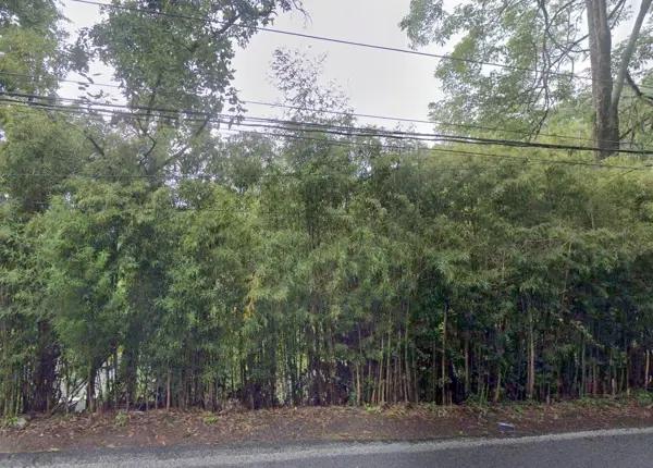 Terreno residencial en venta en Avandaro, Valle de Bravo - 851 m² en Ruta del Bosque Terreno residencial en venta en Avandaro, Valle de Bravo - 851 m² en Ruta del Bosque