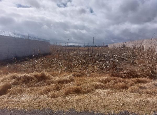 Terreno en venta en San Miguel Totocuitlapilco, Metepec, México