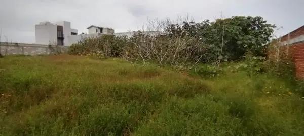 Terreno en venta en San Rafael Comac, San Andrés Cholula, Puebla