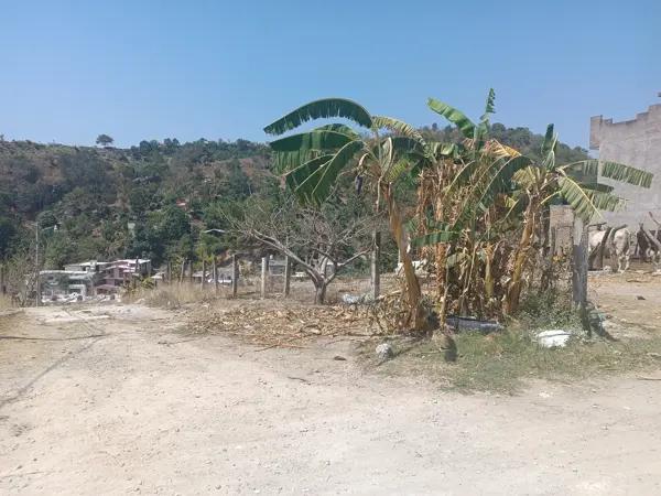 Terreno en venta en Insurgentes, Tepic, Nayarit