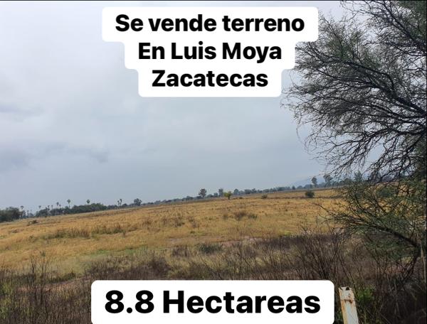 Terreno en venta en Luis Moya Centro, Luis Moya, Zacatecas