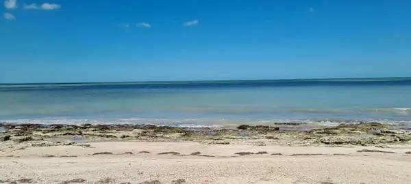 Terreno en venta en Champoton Centro, Champotón, Campeche