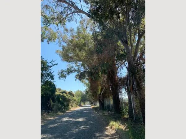 TERRENOS EN VENTA EN CHAPALA