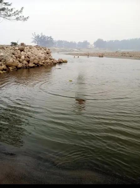 Terreno en venta en Barra de Chachalacas, Úrsulo Galván, Veracruz de Ignacio de la Llave