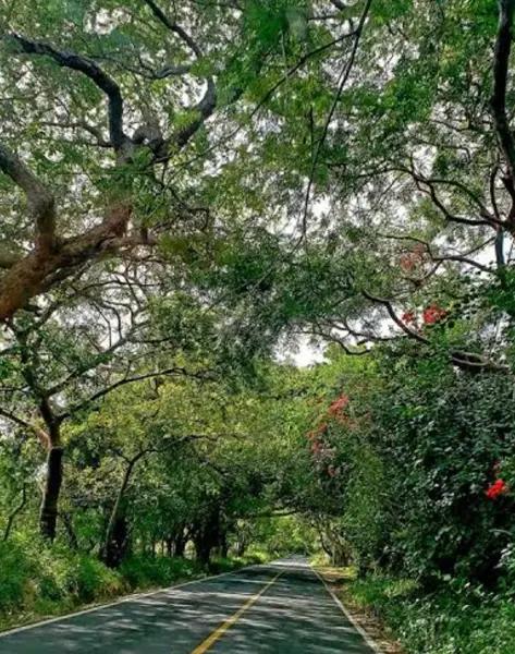 Terreno en venta en El Chivato (Providencia), Villa de Álvarez, Colima