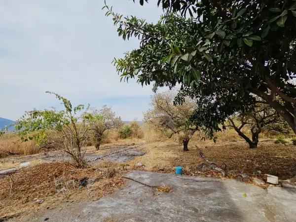 Terreno en venta en El Caudillo del Sur, Yautepec, Morelos Terreno en venta en El Caudillo del Sur, Yautepec, Morelos