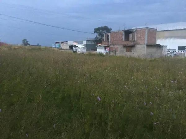 Terreno en venta en San Pedro de la Hortaliza (Ejido Almoloyán), Almoloya de Juárez, México
